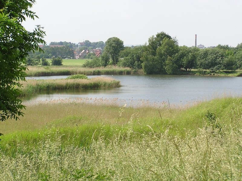 Naturschutzgebiet "Wätzumer Tonkuhle"